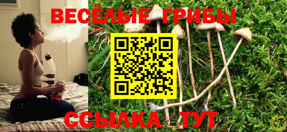 Галлюциногенные грибы Psilocybe  наркота  Вход с VPN  Светлоград  Галлюциногенные грибы мухоморы 